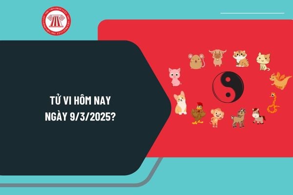 Tử vi hôm nay 9 3 2025 chi tiết? Tử vi ngày 9 3 2025 có tốt không? Tử vi 12 con giáp hôm nay 9 3 2025?