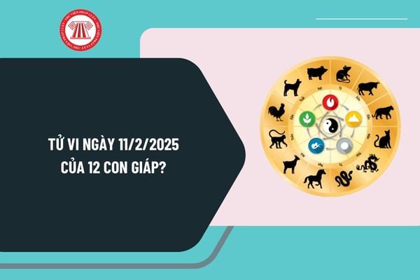 Tử vi ngày 11 2 2025 của 12 con giáp? Tử vi tài lộc hôm nay 11 2 2025 của 12 con giáp có tốt không?