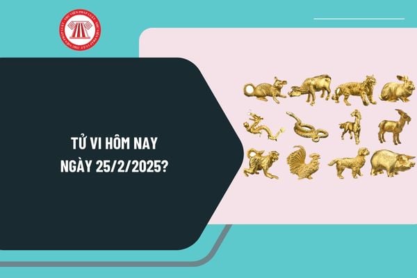 Tử vi ngày 25 2 2025 chi tiết? Tử vi 12 con giáp hôm nay 25 2 2025? Tử vi tài lộc 12 con giáp hôm nay 25 2 2025 ra sao?