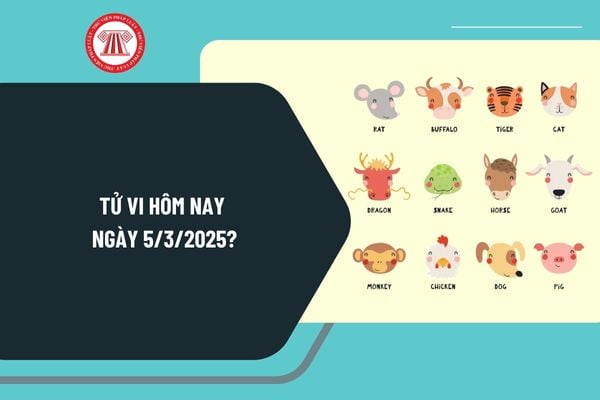 Tử vi hôm nay 5 3 2025 chi tiết? Tử vi hôm nay 12 con giáp 5 3 2025? Tử vi ngày 5 3 2025 có tốt không?