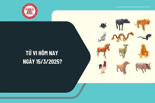 Tử vi hôm nay ngày 15 3 2025 chi tiết? Tử vi ngày 15 3 2025? Tử vi ngày 15 tháng 3 của 12 con giáp có tốt không?