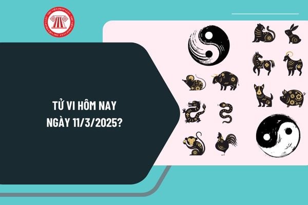 Tử vi hôm nay 11 3 2025 chi tiết? Tử vi hàng ngày hôm nay 11 3 2025 có tốt không? Tử vi 12 con giáp ngày 11 3 2025?