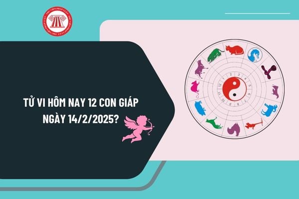 Tử vi hôm nay 12 con giáp 14 2 2025? Tử vi ngày 14 2 2025 của 12 con giáp ngày Valentine? Tử vi tài lộc 12 con giáp hôm nay 14 2 2025?