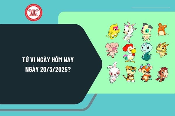 Tử vi ngày hôm nay 20 3 2025 chi tiết? Tử vi 12 con giáp ngày 20 3 2025? Tử vi ngày 20 3 2025 có tốt không?