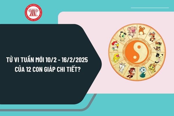 Tử vi tuần mới 10 2 - 16 2 2025 của 12 con giáp chi tiết? Tử vi tuần mới 10 2 - 16 2 2025 có tốt không?