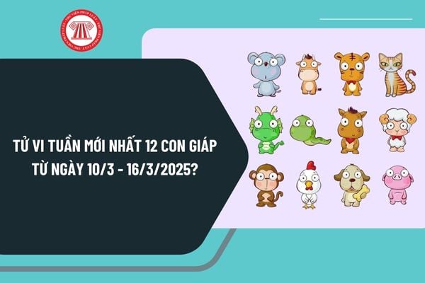 Tử vi tuần mới nhất 12 con giáp 10 3 - 16 3 2025? Tử vi tuần mới chính xác nhất từ ngày 10 3 - 16 3 2025 ra sao?