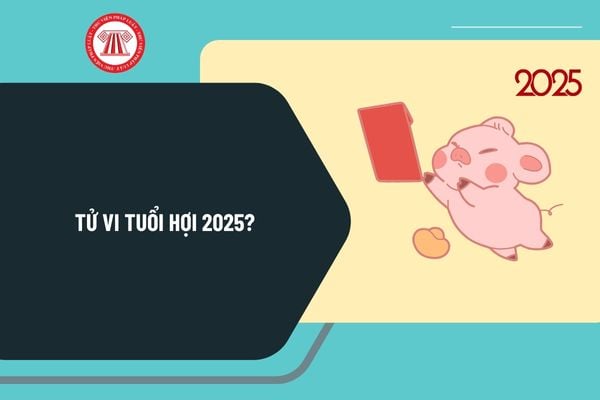 Tử vi tuổi Hợi 2025? Tổng quan Tử vi 2025 tuổi Hợi như thế nào? Tử vi 2025 tuổi Hợi có tốt không?