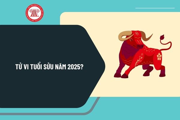 Tử vi tuổi Sửu 2025? Tử vi tuổi Sửu 2025 theo từng năm sinh có tốt không? Tử vi tuổi Sửu 2025 chi tiết?