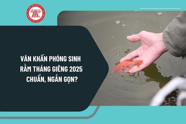 Văn khấn phóng sinh Rằm tháng Giêng 2025 chuẩn, ngắn gọn? Cúng phóng sinh Rằm tháng Giêng như thế nào để tạo phúc?