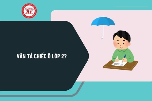 Văn tả chiếc ô lớp 2? Viết đoạn văn khoảng 3 đến 5 câu tả một đồ vật em dùng để tránh nắng hoặc tránh mưa lớp 2?