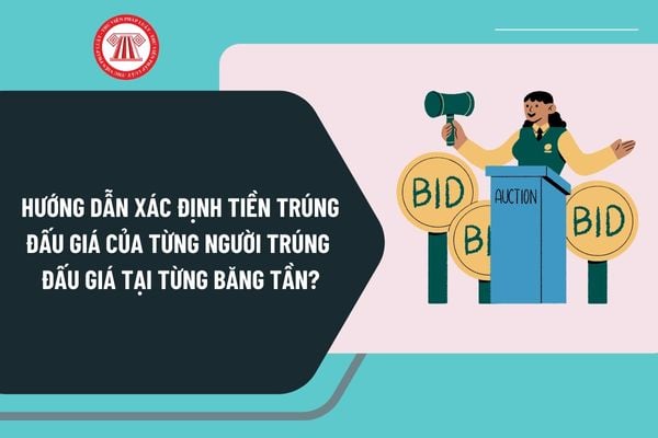 Hướng dẫn xác định tiền trúng đấu giá của từng người trúng đấu giá tại từng băng tần từ ngày 1/1/2025 như thế nào?