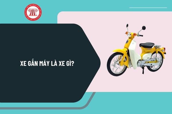 Xe gắn máy là xe gì? Xe gắn máy khác gì xe máy? Lỗi không bằng lái xe máy phạt bao nhiêu tiền 2025?