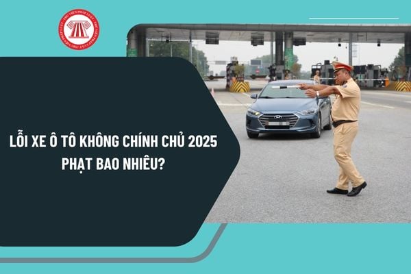 Lỗi ô tô không chính chủ 2025 phạt bao nhiêu? Trách nhiệm của chủ xe trong đăng ký xe 2025 như thế nào?