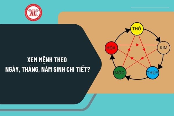 Xem mệnh theo ngày tháng năm sinh chi tiết 2025? Xem mệnh theo ngày tháng năm sinh của 12 con giáp?