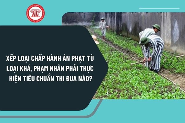 Phạm nhân phải thực hiện tiêu chuẩn thi đua nào để được xếp loại chấp hành án phạt tù loại khá từ 15/11/2024?