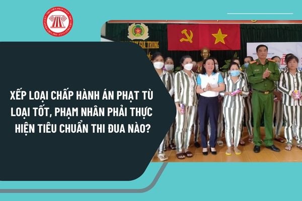 Xếp loại chấp hành án phạt tù loại tốt, phạm nhân phải thực hiện đầy đủ các tiêu chuẩn thi đua nào từ 15/11/2024?