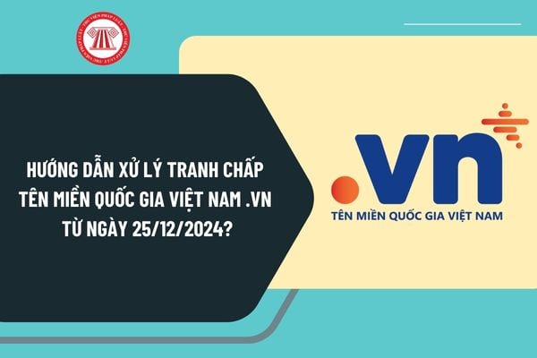 Hướng dẫn xử lý tranh chấp tên miền quốc gia Việt Nam .vn từ 25/12/2024 theo Nghị định 147 như thế nào?