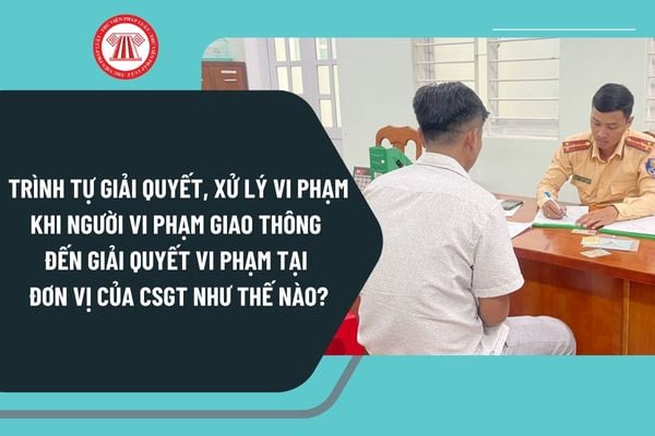 Trình tự giải quyết, xử lý vi phạm khi người vi phạm giao thông đến giải quyết vi phạm tại đơn vị của CSGT như thế nào?