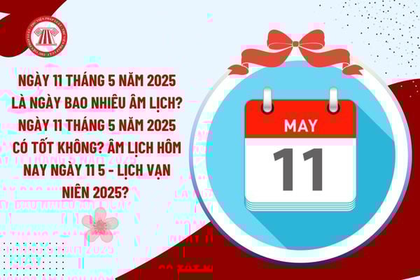 Ngày 11 tháng 5 năm 2025 là ngày bao nhiêu âm lịch? Ngày 11 tháng 5 năm 2025 có tốt không? Âm lịch hôm nay ngày 11 5 - Lịch Vạn niên 2025? 