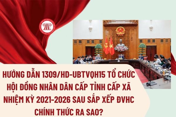 Pháp luật