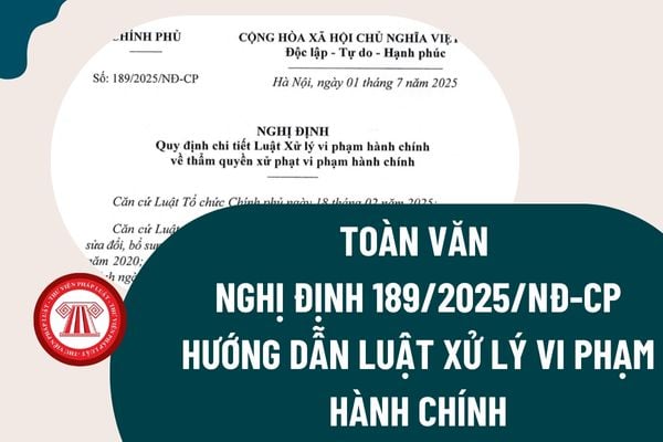 Pháp luật
