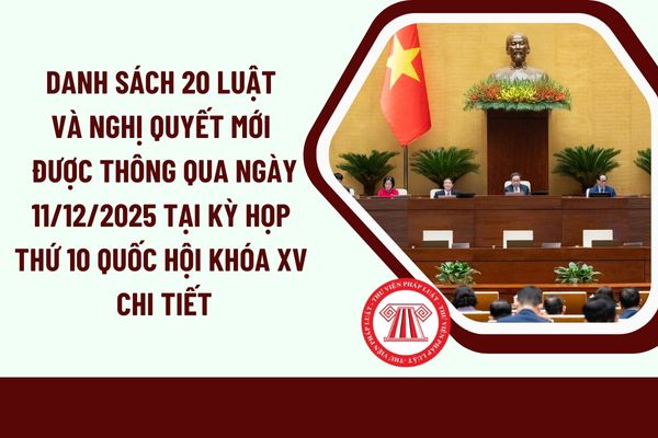 Pháp luật
