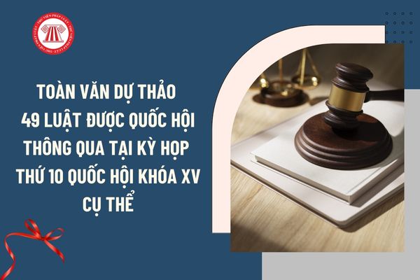 Pháp luật