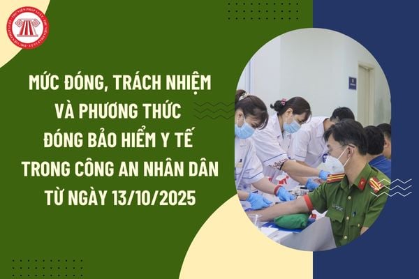 Pháp luật