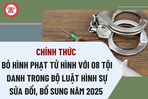 Pháp luật
