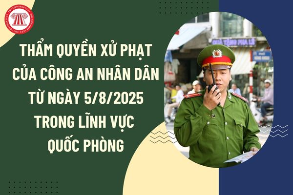 Pháp luật