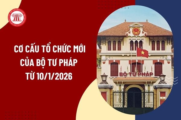 Pháp luật