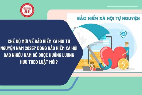 Chế độ mới về bảo hiểm xã hội tự nguyện năm 2025? Đóng bảo BHXH bao nhiêu năm để được hưởng lương hưu từ 1/7/2025?