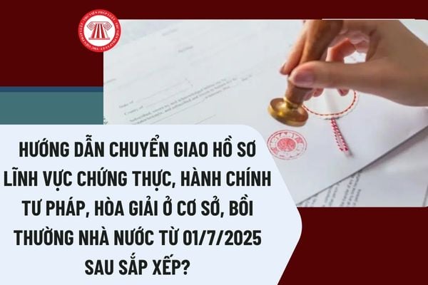 Pháp luật