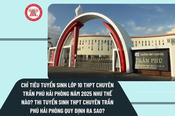 Pháp luật