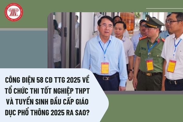 Pháp luật