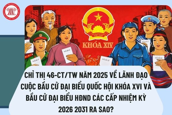 Pháp luật