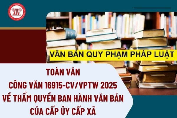 Pháp luật
