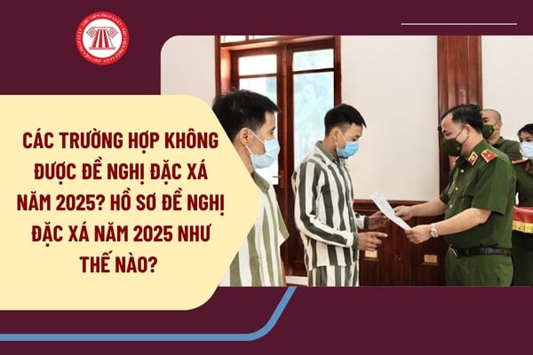 Các trường hợp không được đề nghị đặc xá năm 2025? Hồ sơ đề nghị đặc xá năm 2025 như thế nào? 