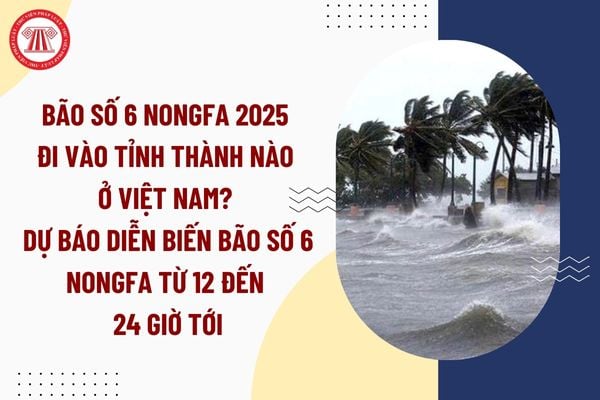 Pháp luật