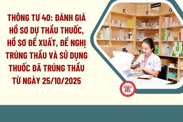 Pháp luật
