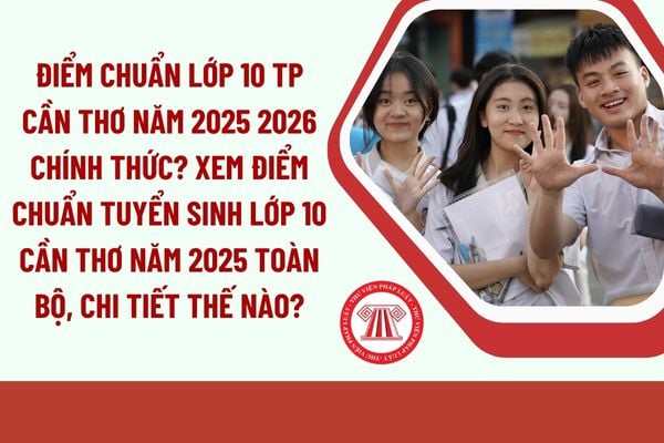Pháp luật