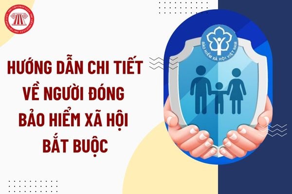 Pháp luật