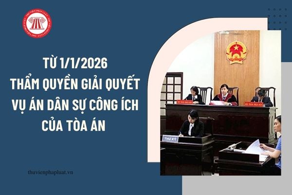 Pháp luật