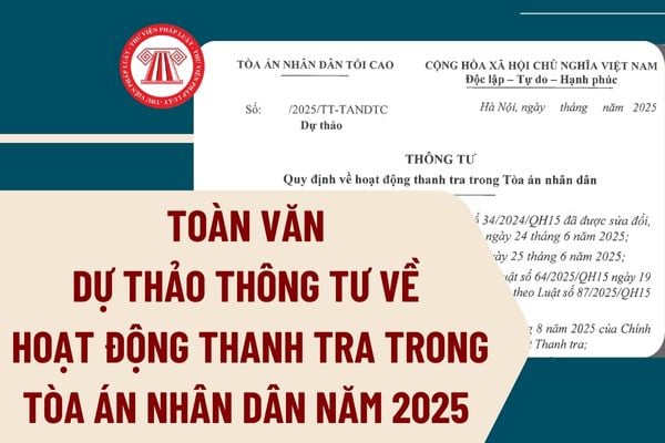 Pháp luật