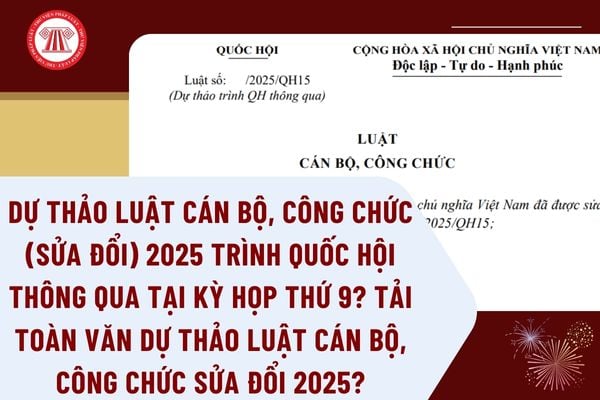 Pháp luật