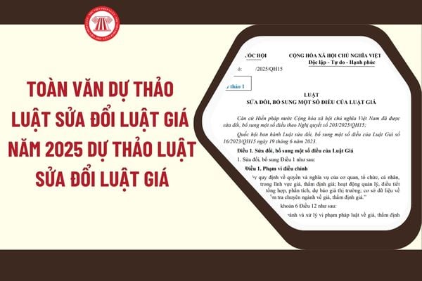Pháp luật
