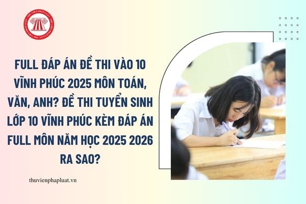 Pháp luật