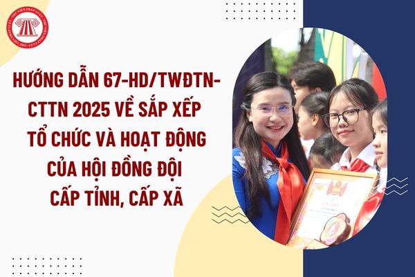Pháp luật