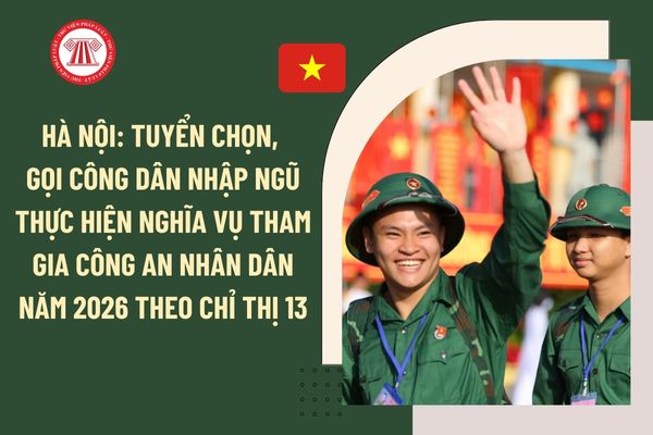 Pháp luật