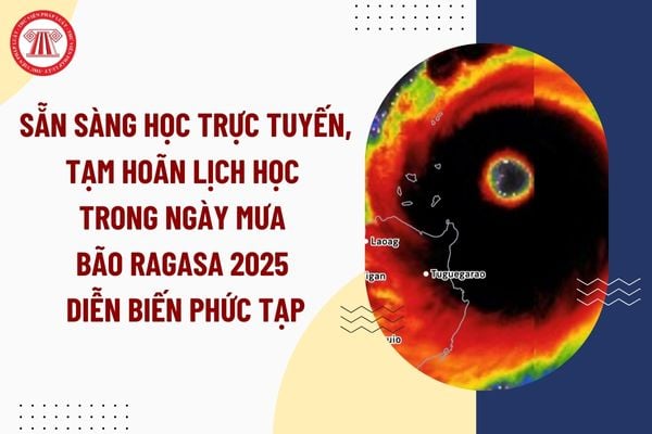 Pháp luật